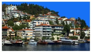 Bebek Temizlik Şirketi