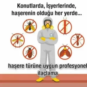 Böcek / Haşere İlaçlama